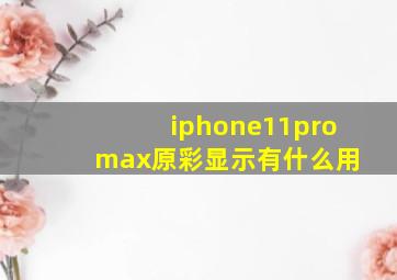 iphone11pro max原彩显示有什么用